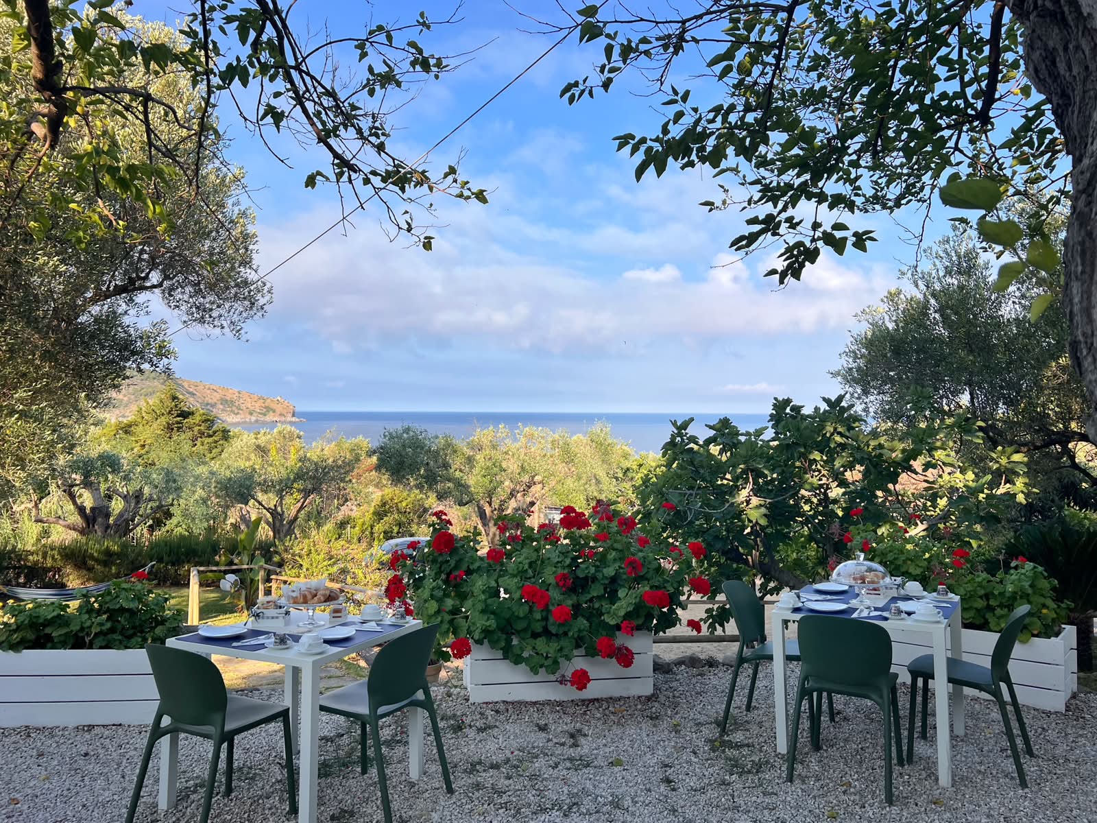 Servizio colazione all'aperto nel giardino della struttura