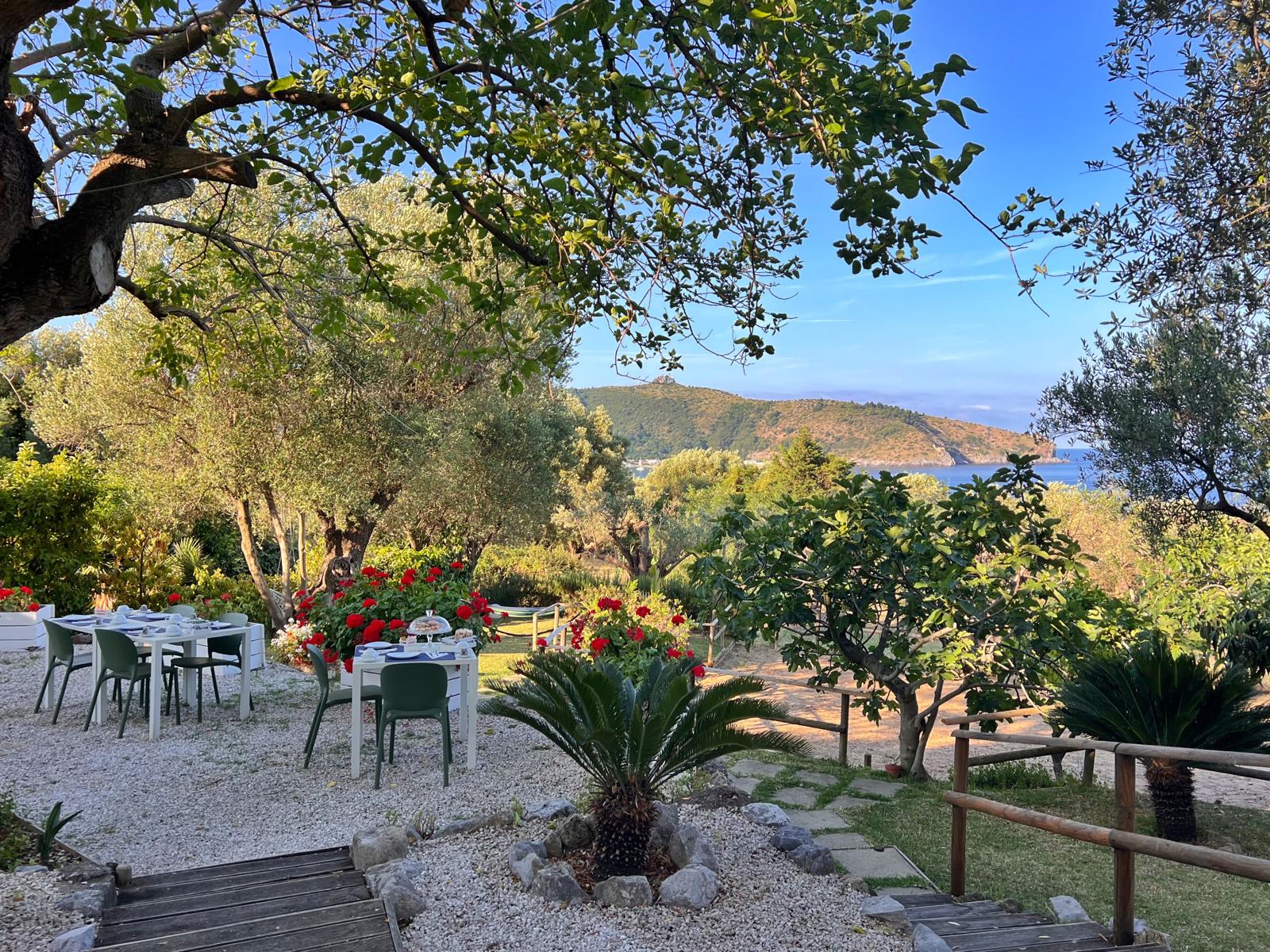 Spazi esterni Mediterraneo Rooms